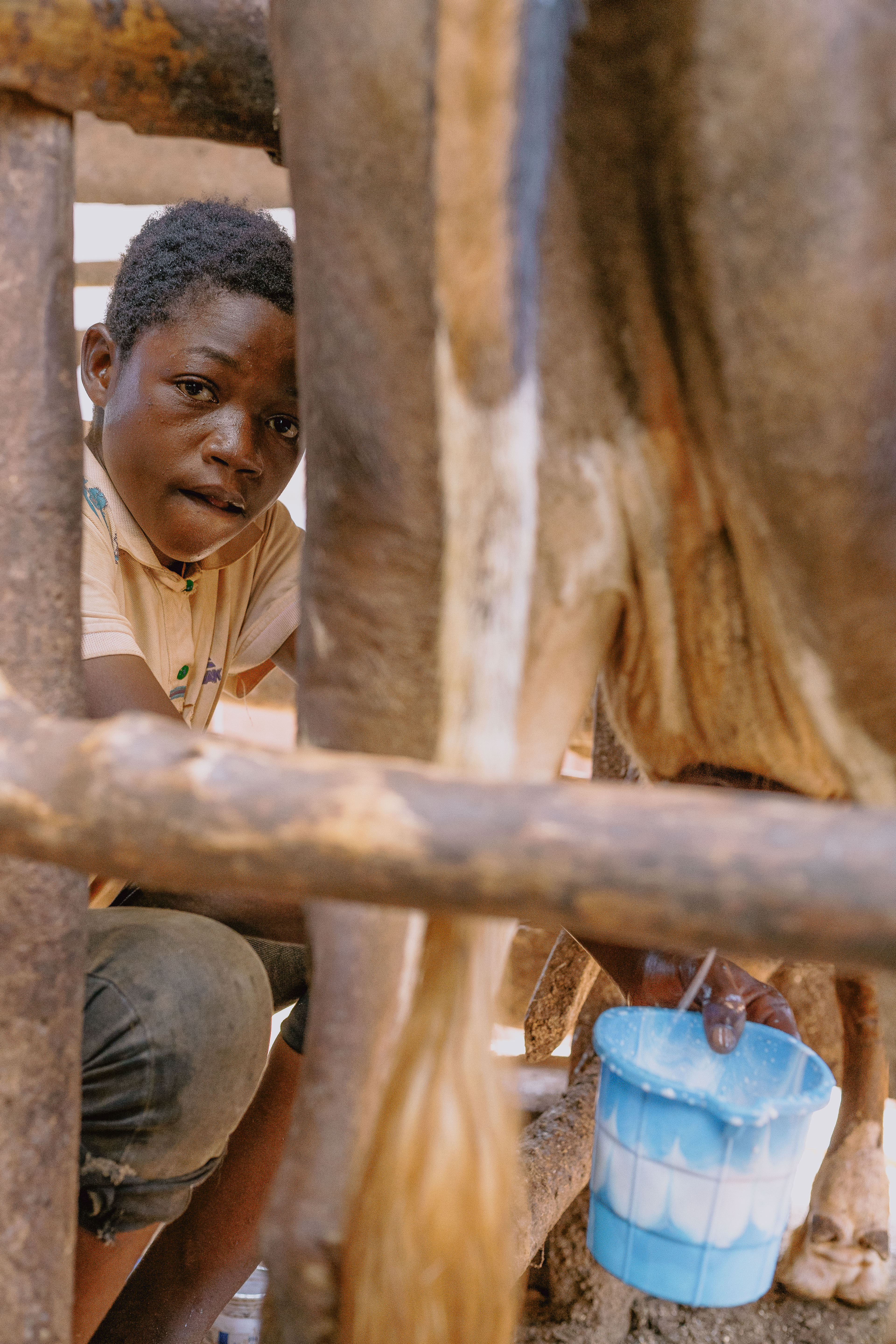 Cooperative Leaders Summit